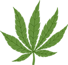 Cannabis leaf