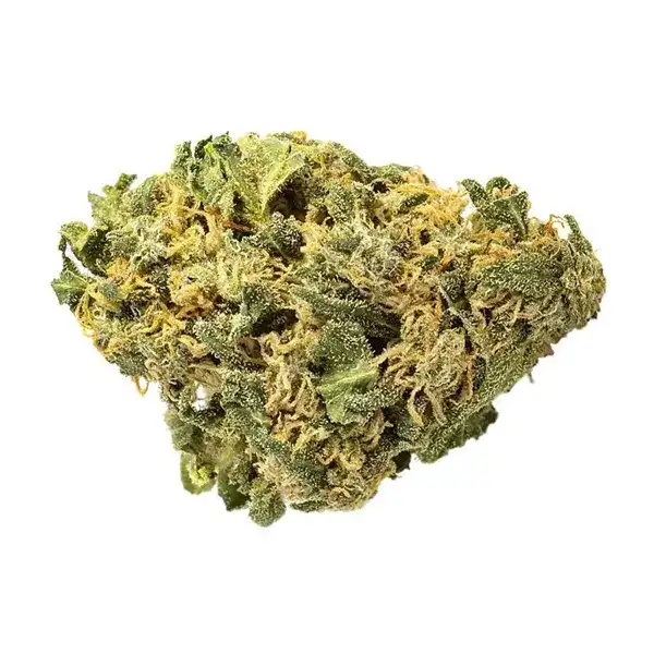 Product image for Hash Plant, Cannabis Flower by Emerald