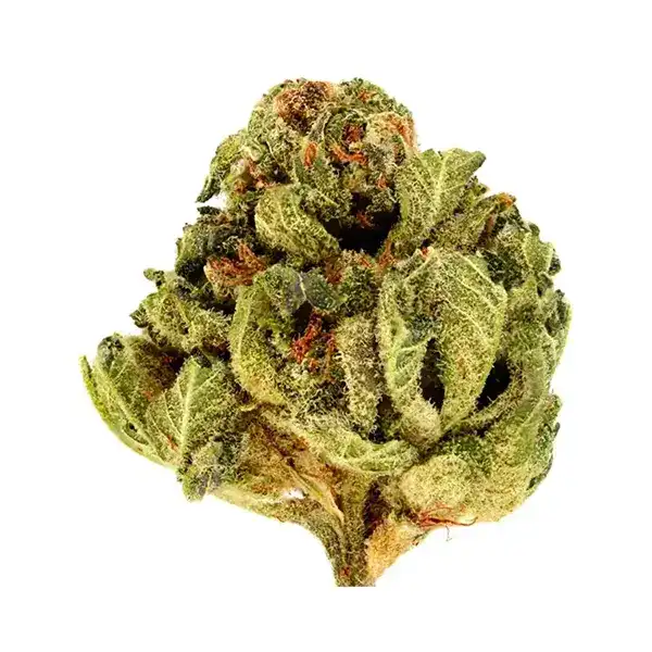 Product image for The Batch, Cannabis Flower by The Batch