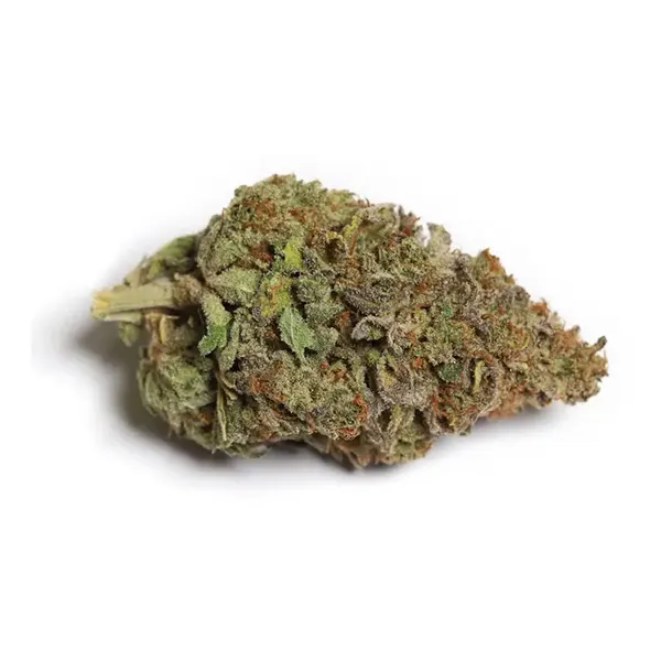 Cali-O (Dried Flower) by Kiwi Cannabis