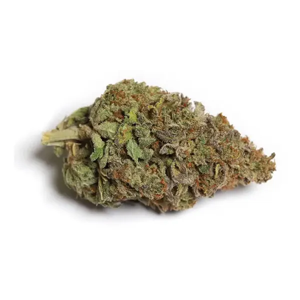 Bud image for Cali-O, cannabis dried flower by Kiwi Cannabis