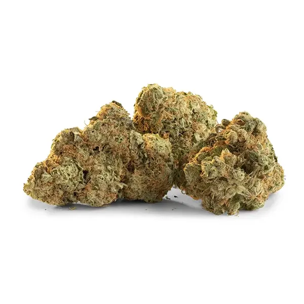 Product image for Glow Hybrid Bud, Cannabis Flower by Trailblazer