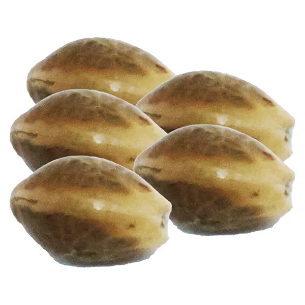 Image for Northern Lights Auto Seeds, cannabis seeds by Freedom Cannabis