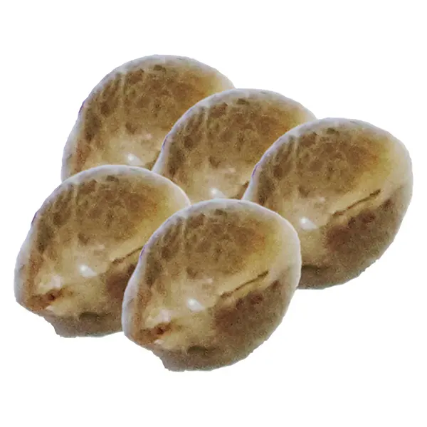 Image for Painted Lady CBD Seeds, cannabis seeds by Freedom Cannabis