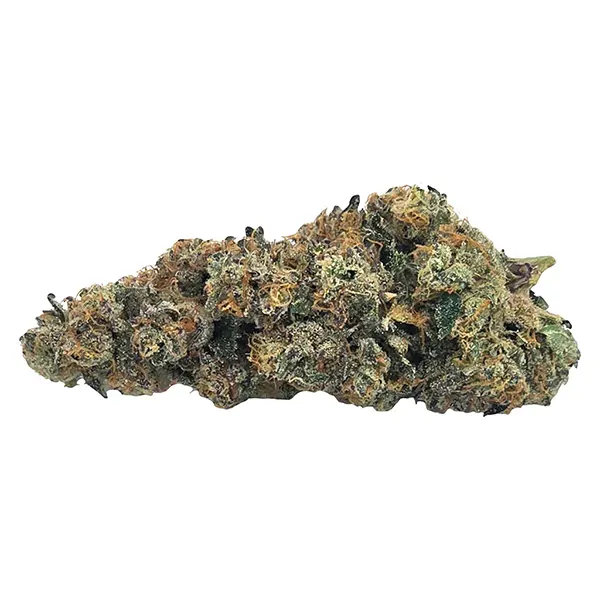 Bud image for Peggys Puff, cannabis all products by Truro