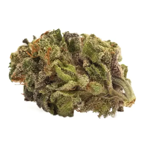 Bud image for Sativa, cannabis all categories by TWD.