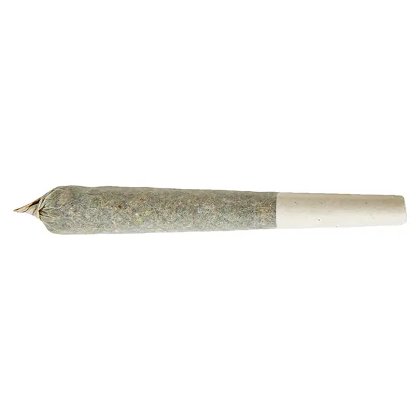 Rainbow Razz Distillate Infused Pre-Roll (Pre-Rolls) by XPLOR