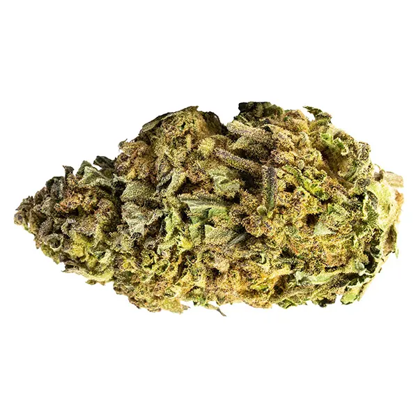 Skyh (Dried Flower) by Bleuh