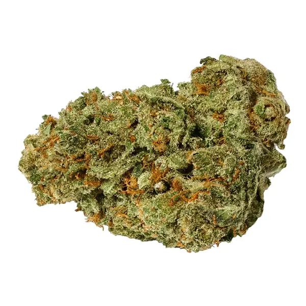 Bud image for Pure Sun CBD, cannabis dried flower by Pure Sunfarms