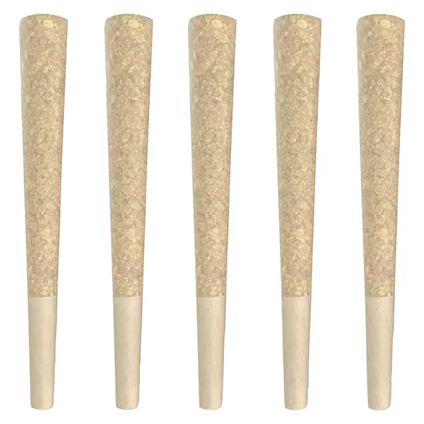 Image for Timeoff Pre-Roll