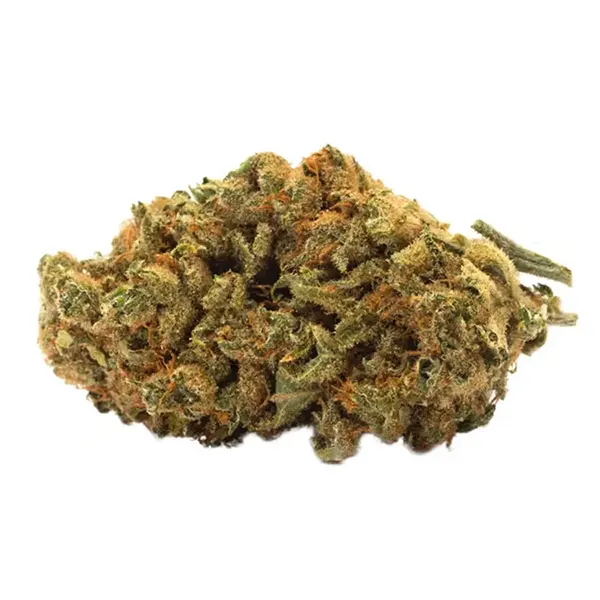 Bud image for Indica, cannabis all products by TWD.
