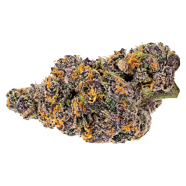 Image for Aurora Frost