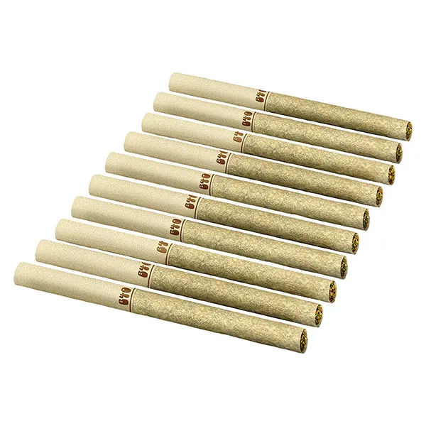 Image for Backpackers Pre-Roll - Lemon Diesel