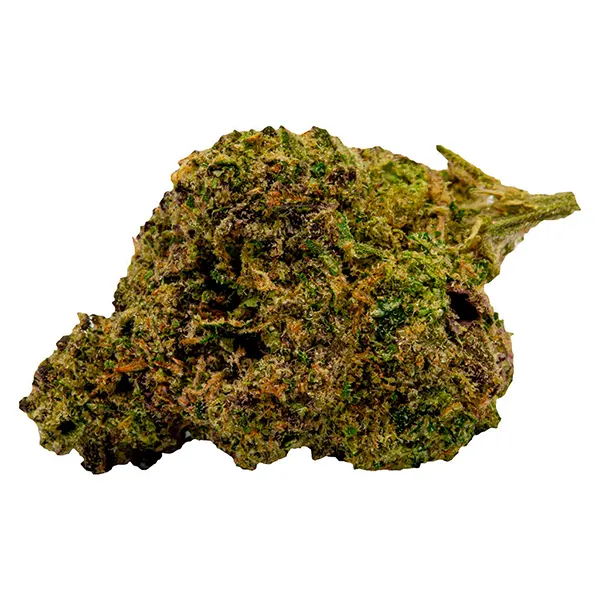 Image for Black Cherry Soda