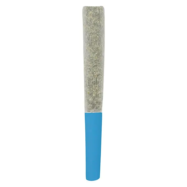 Image for Blueberry Double Infused Pre-Roll