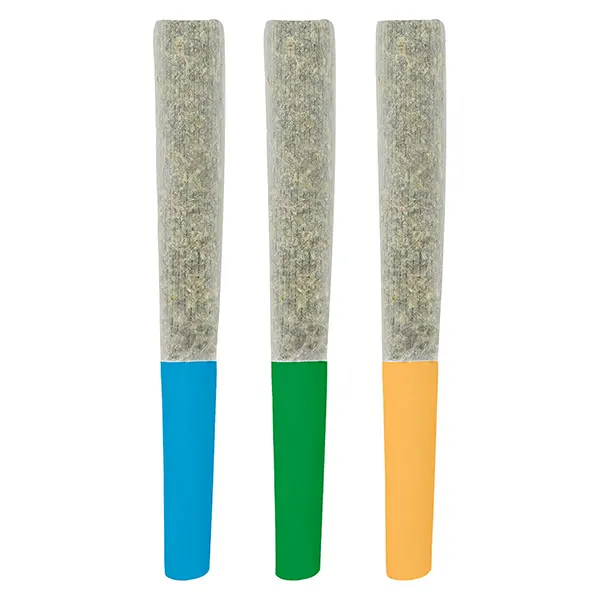 Image for Double Infused Pre-Roll - Variety Pack
