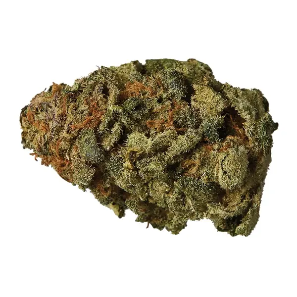 Bud image for Nebula, cannabis all categories by Hexo