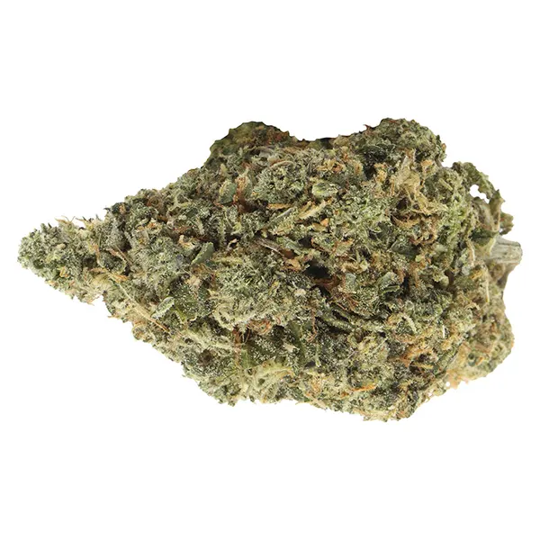 Image for Bubblegum Marker