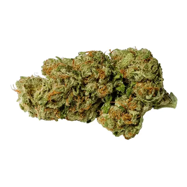 Product image for Island Honey, Cannabis Flower by Pure Sunfarms