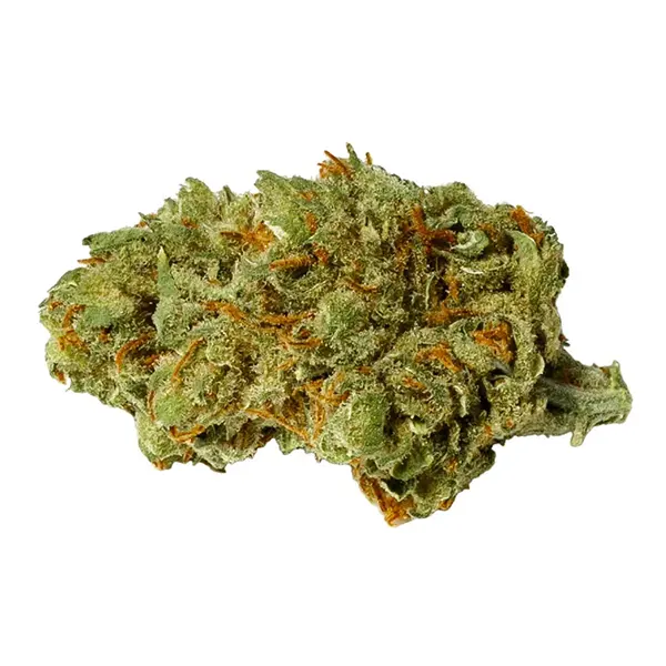 Product image for Critical Kali Mist, Cannabis Flower by Pure Sunfarms