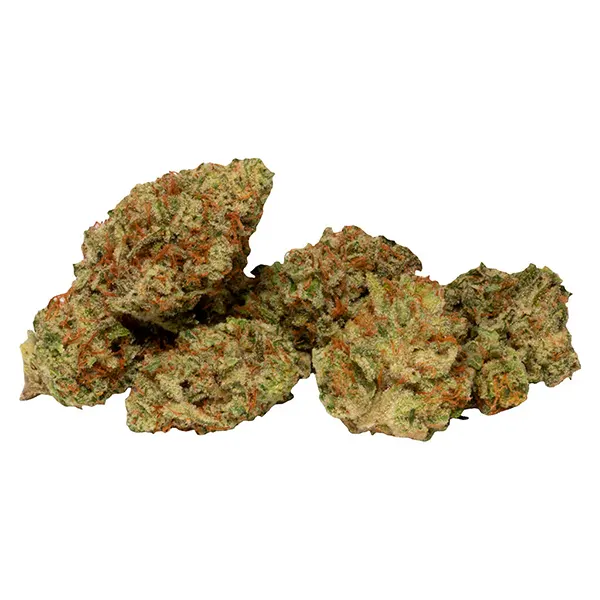 Image for Gluerangutan