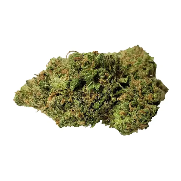 Product image for Summer Shishkaberry, Cannabis Flower by Color Cannabis
