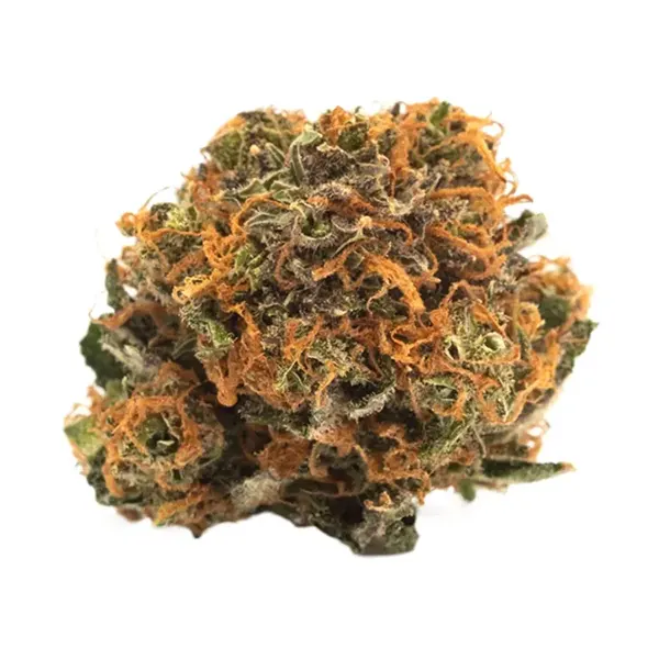 Product image for Balanced, Cannabis Flower by TWD.