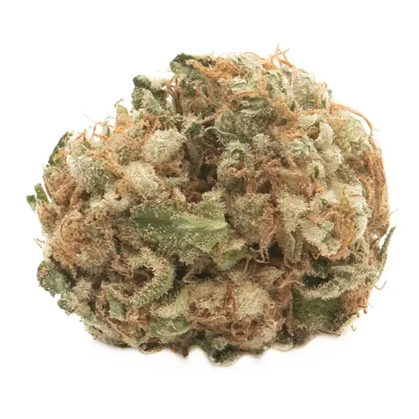 Product image for Sensi Star, Cannabis Flower by Namaste