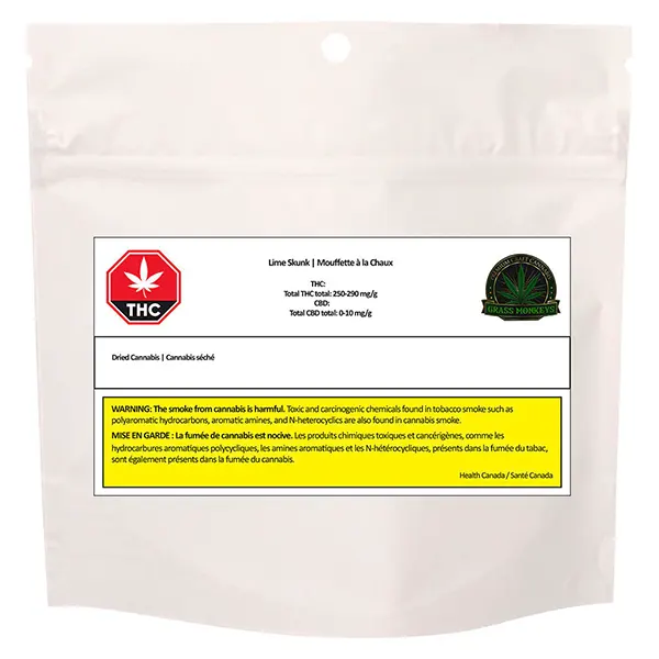 Lime Skunk (Dried Flower) by Grass Monkeys