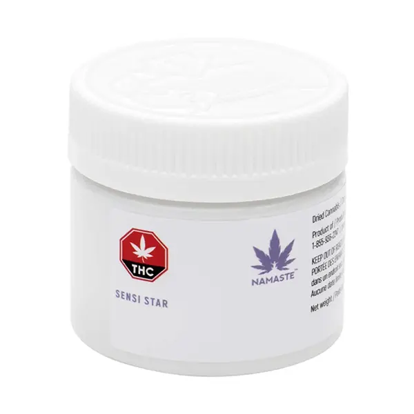 Sensi Star (Dried Flower) by Namaste