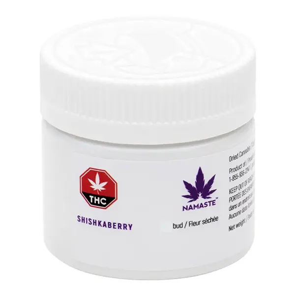 Shishkaberry (Dried Flower) by Namaste