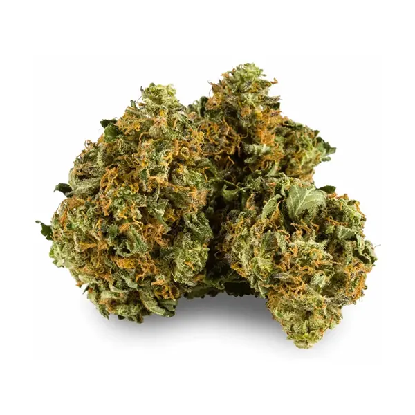 Product image for Summer Fling, Cannabis Flower by Aurora