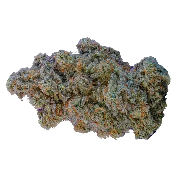 Image for OP Reserve Sativa