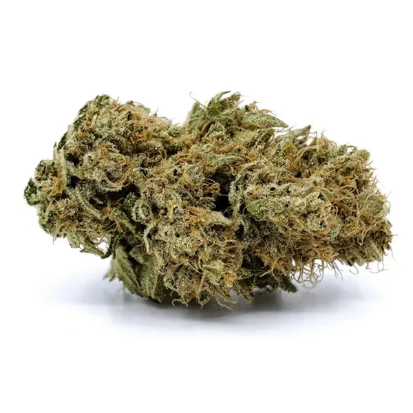 Bud image for Cold Creek Kush, cannabis all categories by Redecan