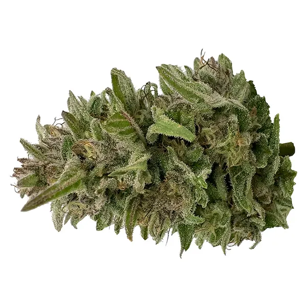 Image for Pretty Chill Indica