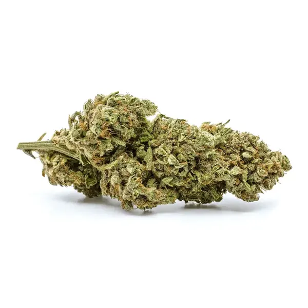 Product image for God Bud, Cannabis Flower by Redecan