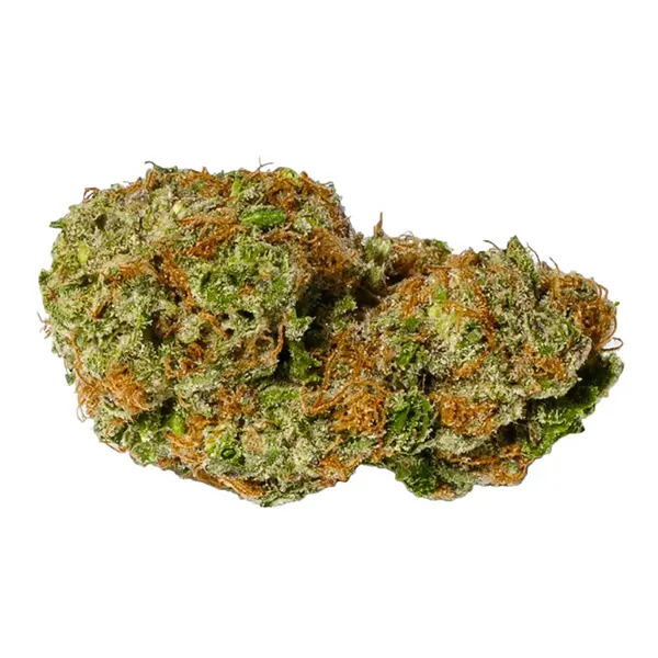 Bud image for White Rhino, cannabis all categories by Pure Sunfarms
