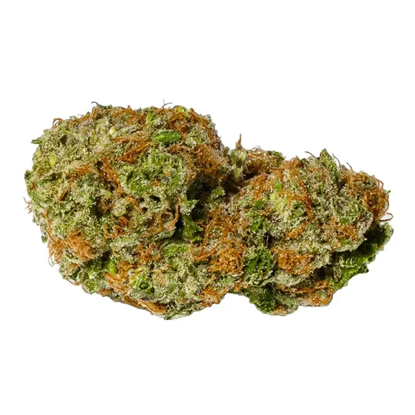 Plant Bud by Pure Sunfarms