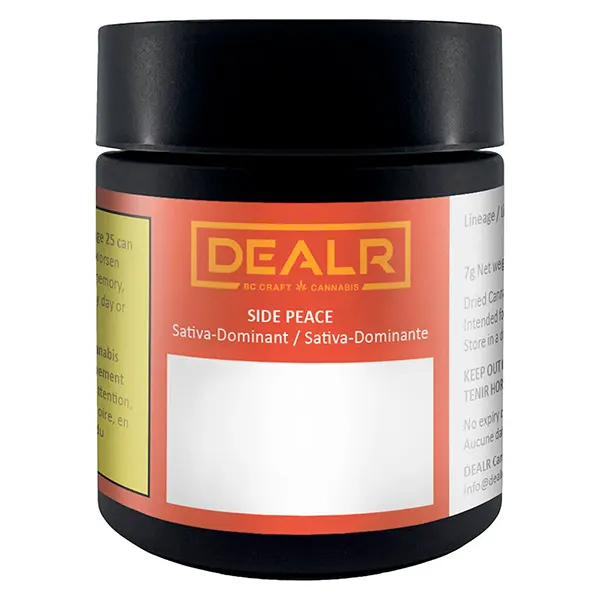 Side Peace (Dried Flower) by DEALR