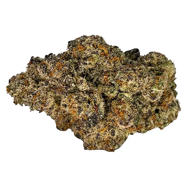 Image for Superbud OZ
