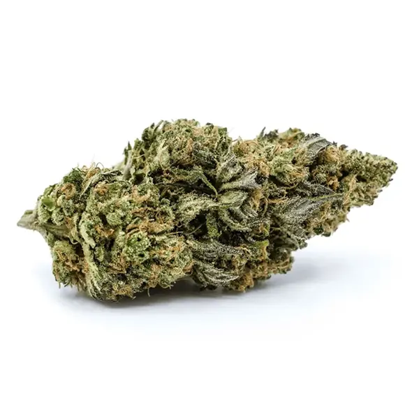 Product image for Shishkaberry, Cannabis Flower by Redecan