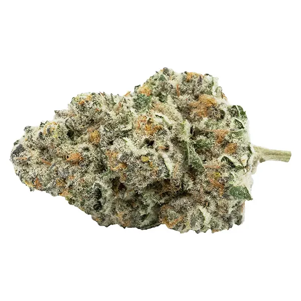 Image for Back Stage Pass Sativa