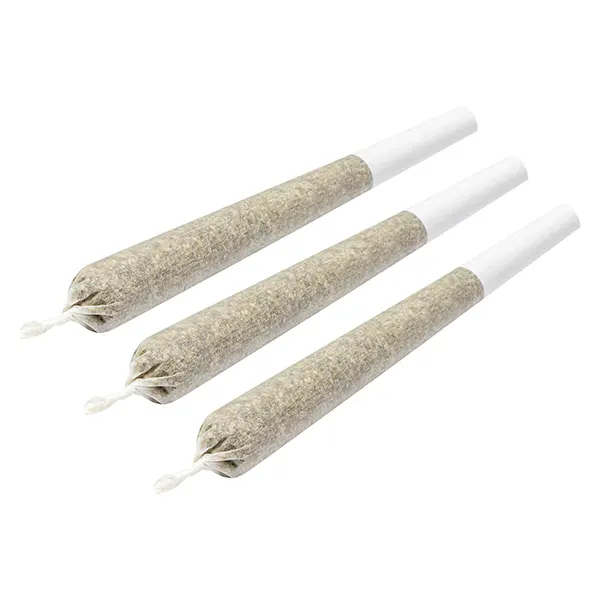 Back Stage Pass Sativa Pre-Roll (Pre-Rolls) by Encore Supply Co