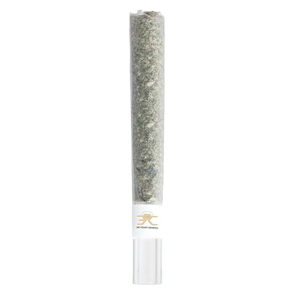 Image for Black Cheese Rosin Donut Glass Tip Pre-Roll