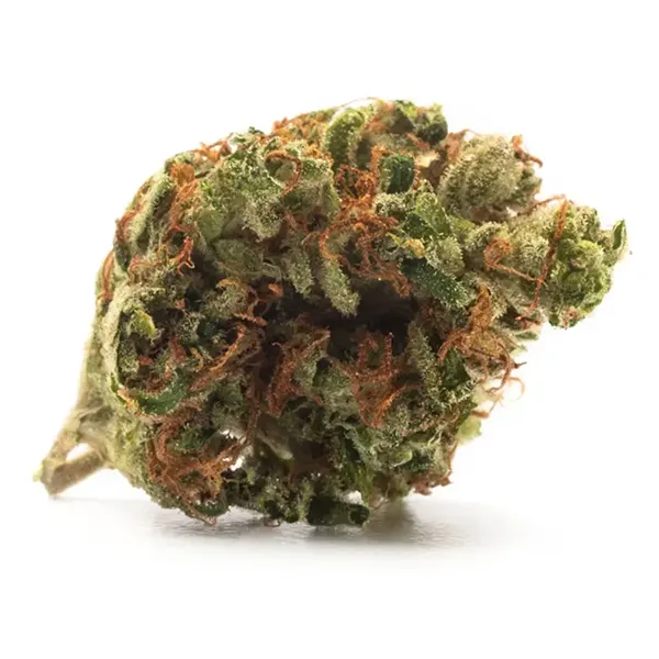 Afghan Kush
