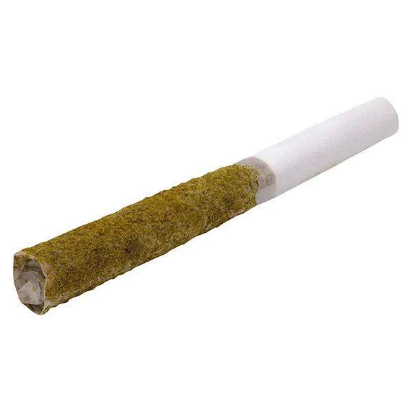 Image for NIGHT KUSH INDICA INFUSED PRE-ROLL, cannabis pre-rolls by GAS