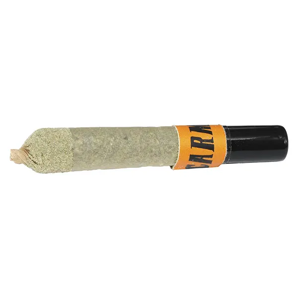 Image for Envy Ceramic Tip Infused Pre-Roll, cannabis all products by Carmel