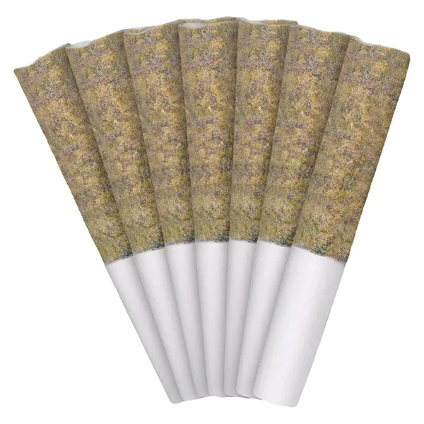 Image for Florida Oranges Pre-Roll