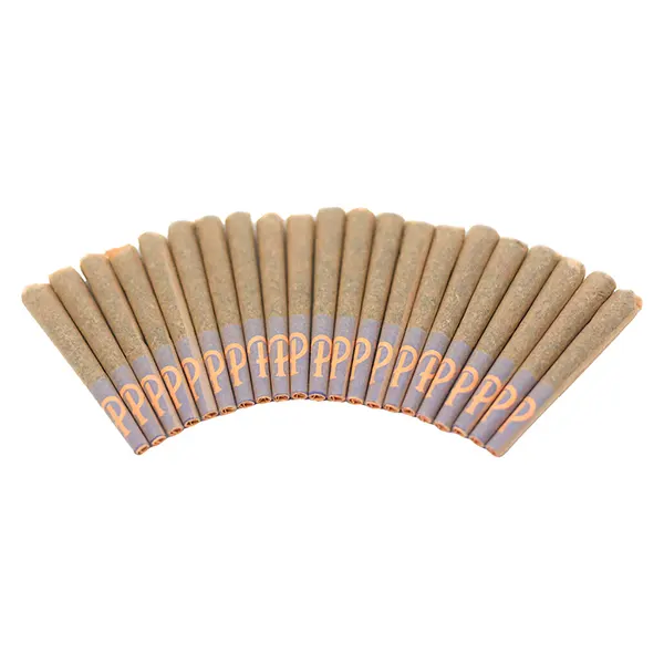 Image for Gelato 41 Pre-Roll