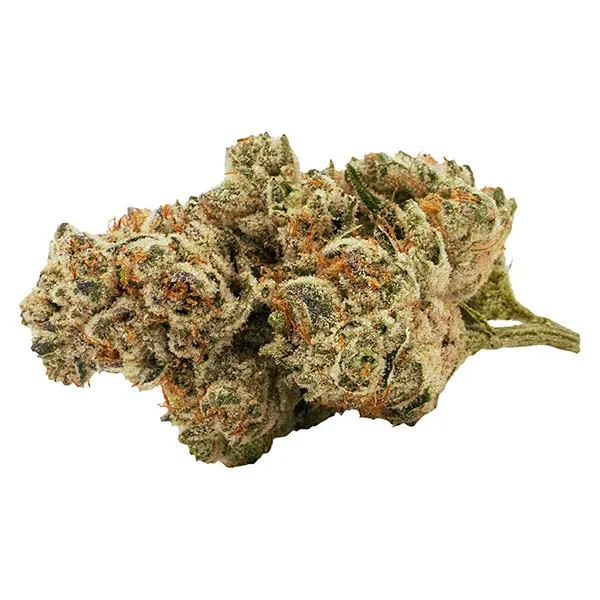 Bud image for High Score, cannabis all products by Hotbox